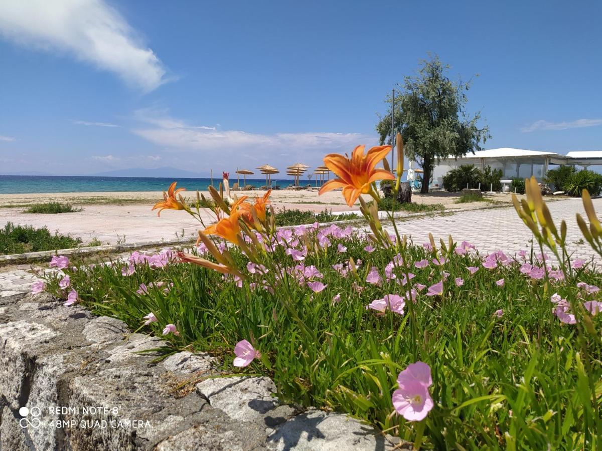 Aparthotel Hause Zorbas à Paralia Dionisiou Extérieur photo